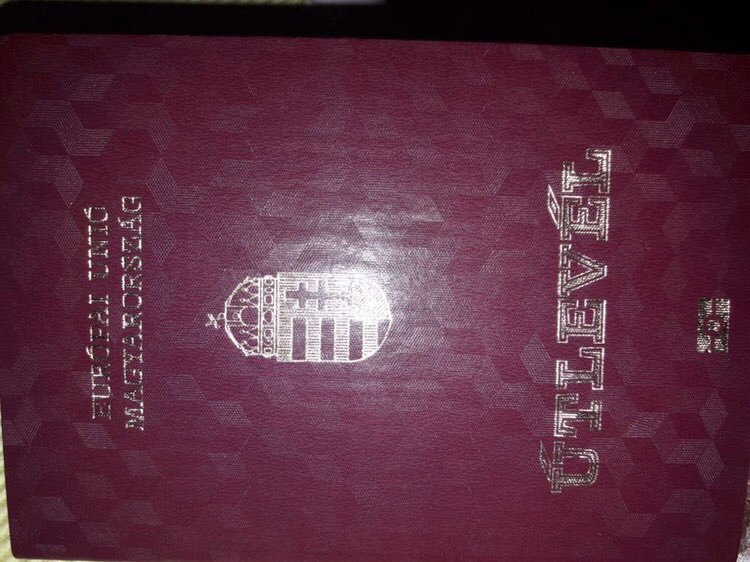 У затриманого на хабарі начальника відділу митного поста "Вилок" вилучено паспорт громадянина Угорщини, готівку і 700 тис євро в банках (ФОТО)
