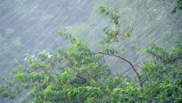У гірських районах Закарпаття синоптики прогнозують сильні зливи та шквалистий вітер
