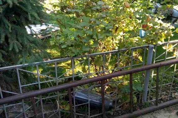 У дворі підозрюваного в крадіжці мешканця Чопа виявили рослини конопель (ФОТО)