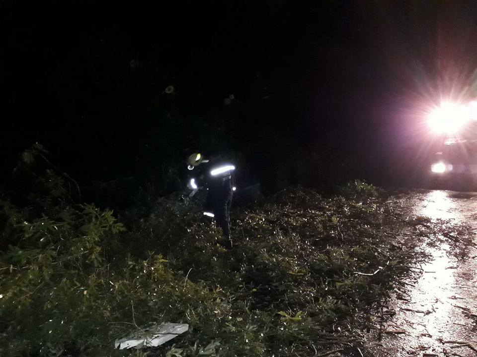 У Рахові дерево впало на авто, а в Солотвині вітер повалив аварійний копер шахти солерудника (ФОТО)
