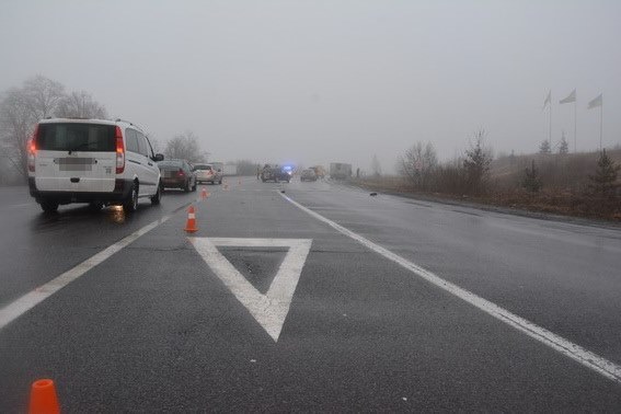 Уночі перебігаючи через дорогу, на Ужгородщині під колесами ГАЗу загинув пішохід