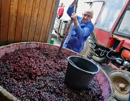 Уряд затвердив форму декларації, необхідної малим виноробам для початку легальної комерційної роботи