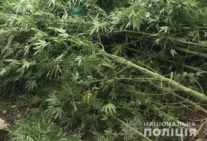 У Мукачеві наркоторгівця, у якого виявили понад 15 кг марихуани, засудили до 9,5 років тюрми