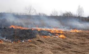 Через горіння сухої трави в Ужгороді отруїлася 13-річна дівчинка