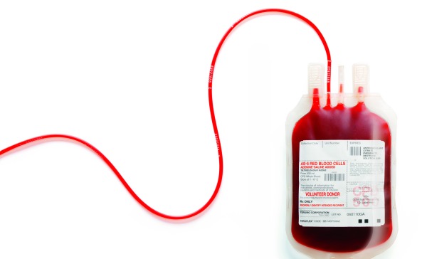 На Закарпатті не вистачає донорської крові (ВІДЕО)