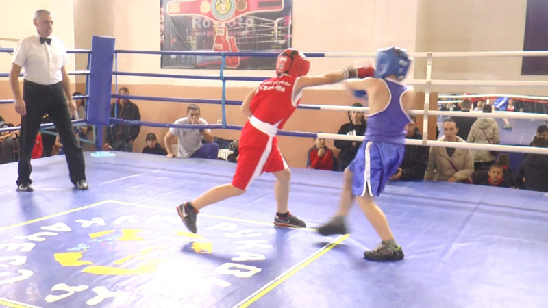 Традиційний боксерський турнір "Ром спорт" провели в Мукачеві (ВІДЕО)