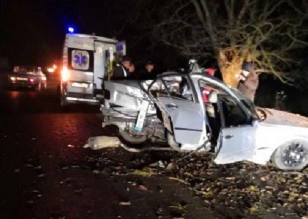 Біля Тячева BMW зіткнулася з деревом, 19-річний водій загинув (ФОТО)