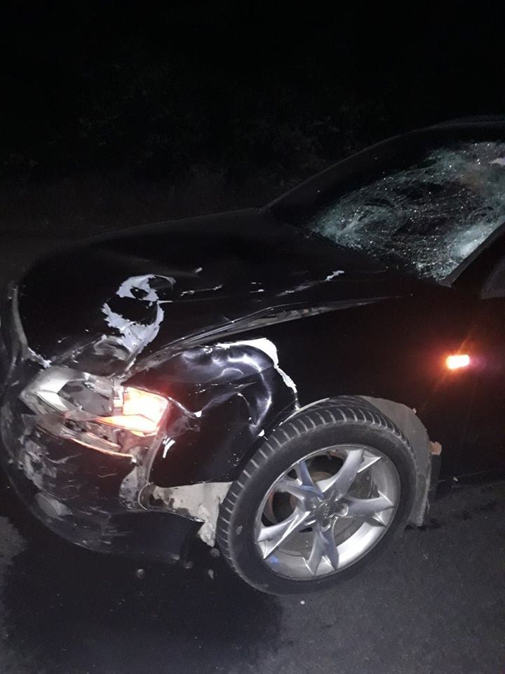 На Виноградівщині Audi смертельно травмувала чоловіка (ФОТО) (18+)