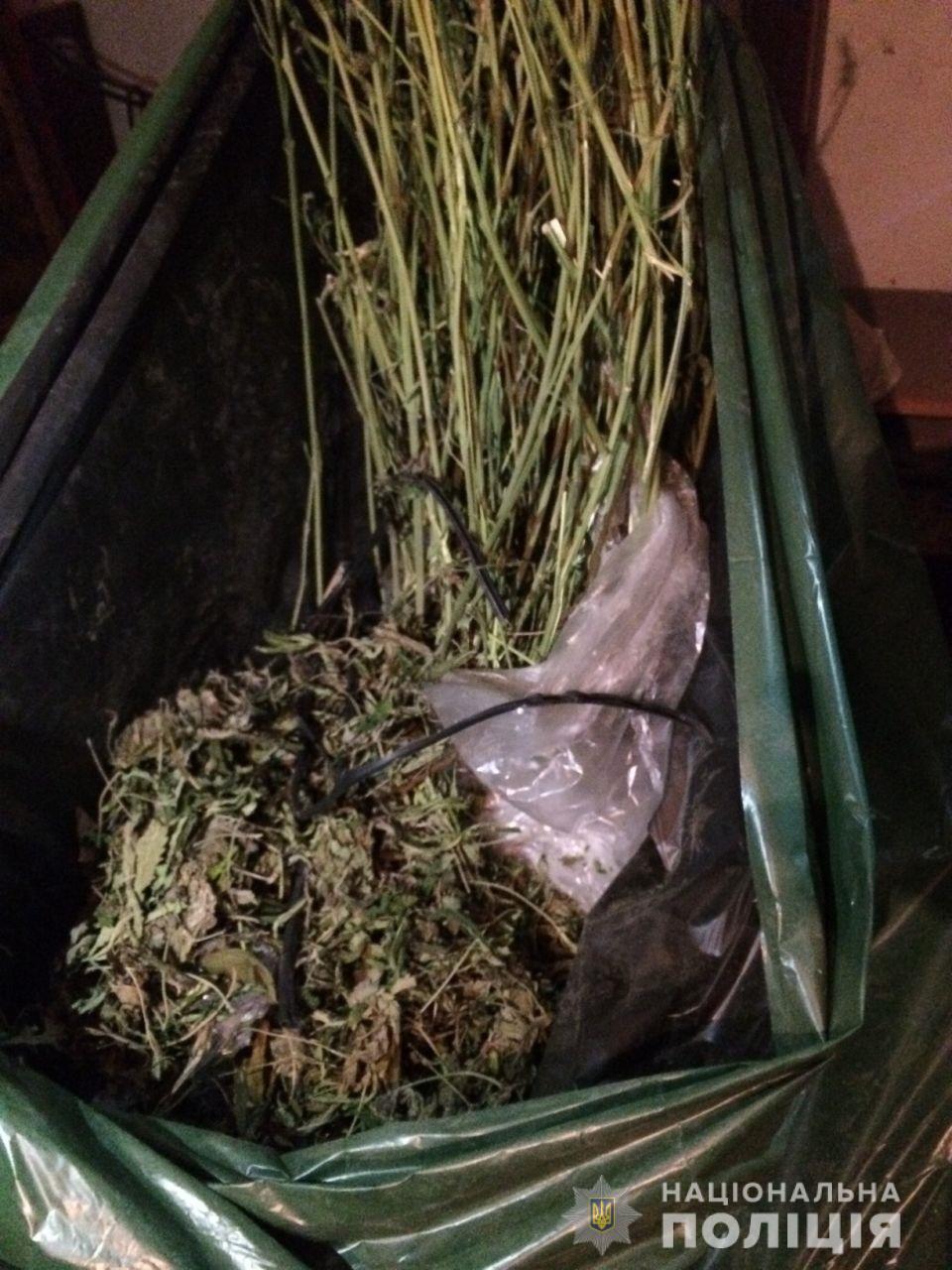 Під час обшуку в будинку мешканця Чинадієва на Мукачівщині знайшли марихуану та сухі стебла конопель (ФОТО)