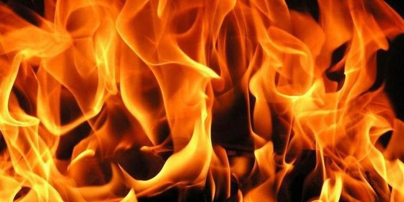 Під час пожежі у будинку у Вишці на Великоберезнянщині загинув власник помешкання