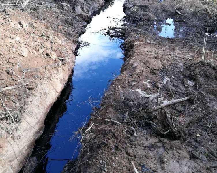 Потрапляння нафти у водойми на місці врізки на Мукачівщині відсутнє, загрози забруднення поверхневих вод немає