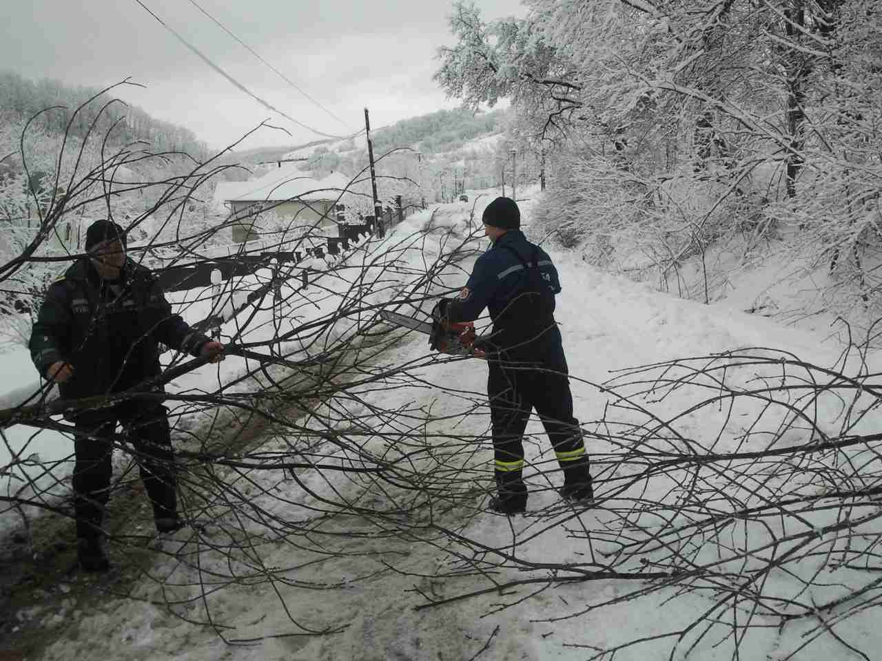 В Ужгороді й на Тячівщині тричі на дорогу падали дерева