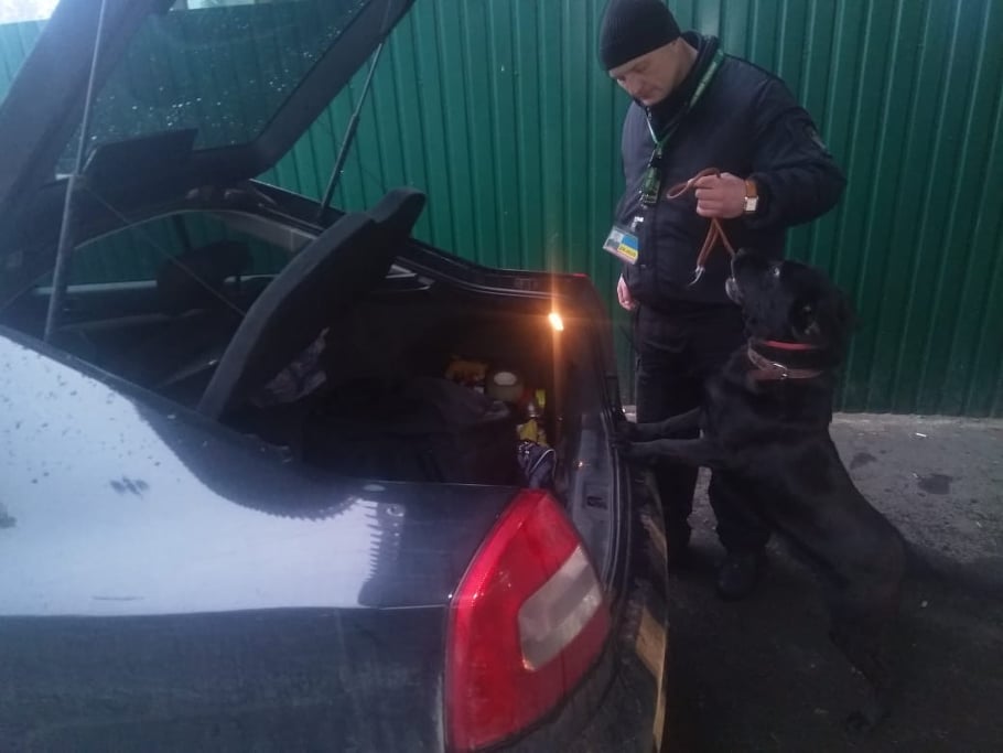 Завдяки службовому псу на кордоні на Закарпатті в автівці харків'янина знайшли Magnum,  95 набоїв "Flober" та газовий балон (ФОТО)