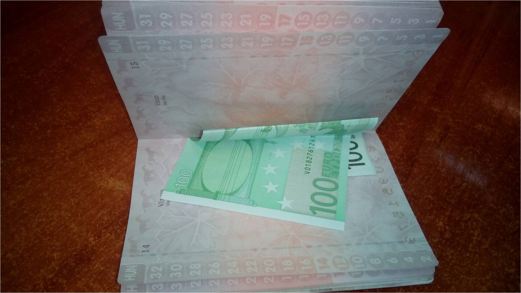 100 євро хабара запропонувала угорка на кордоні на Закарпатті за незаконний перетин кордону водієм