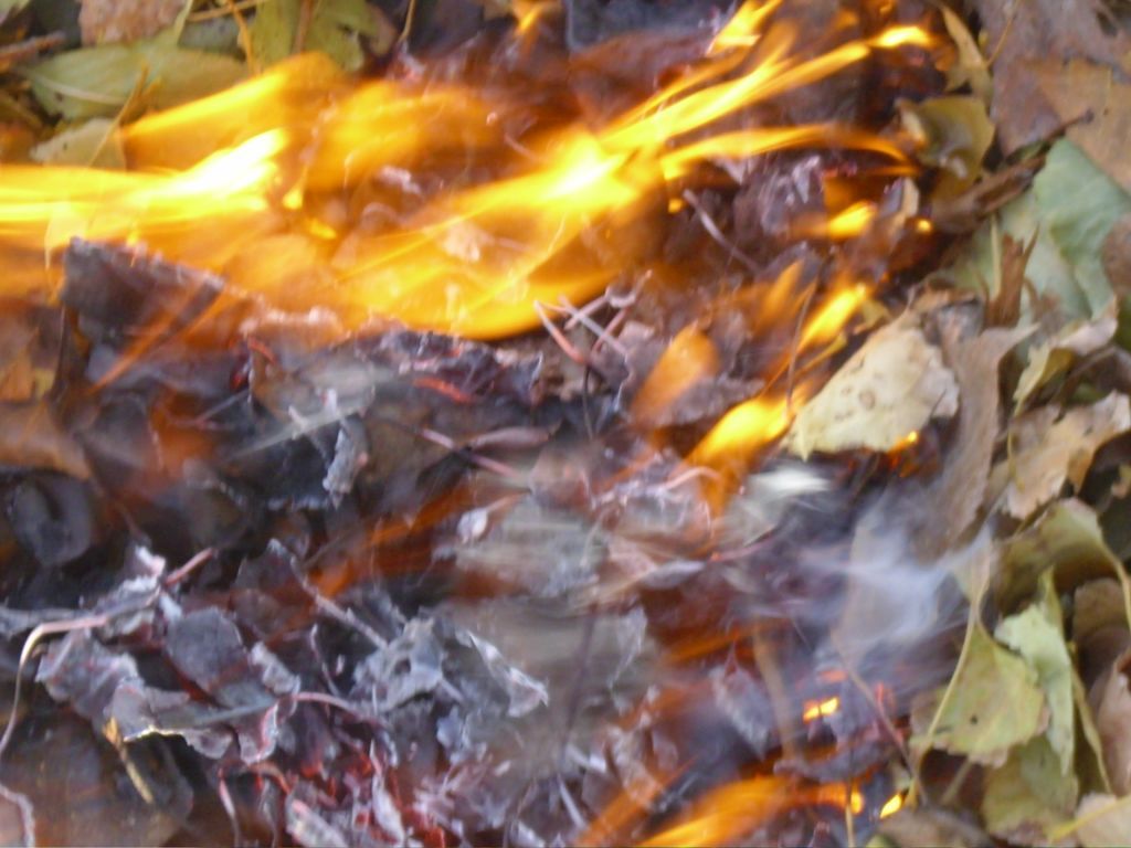 На Мукачівщині жінка, спалюючи сміття, потрапила до реанімації з опіками 