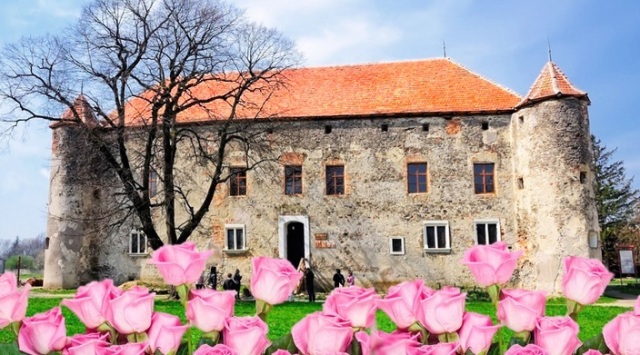 На Мукачівщині знову відбудеться фестиваль квітів "Кохання в Сент-Міклоші"