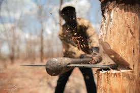 Незаконну рубку виявили на території Ужгородського військового лісництва