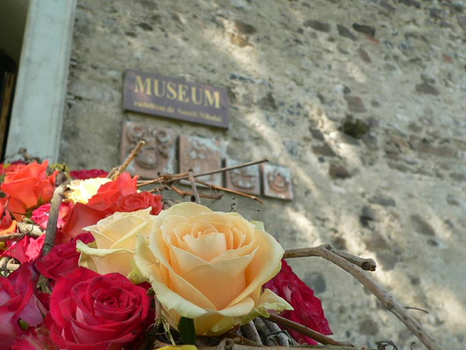 Міжнародний квітковий фестиваль "Кохання в Сент-Міклоші" розпочався на Мукачівщині (ФОТО)