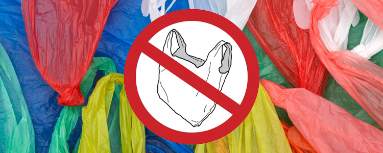 Ужгородські депутати просять ВР законодавчо заборонити використання поліетиленових пакетів у магазинах