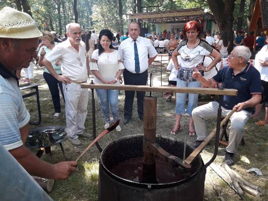 Фестиваль черешень та ягід відбувся на Виноградівщині (ФОТО)