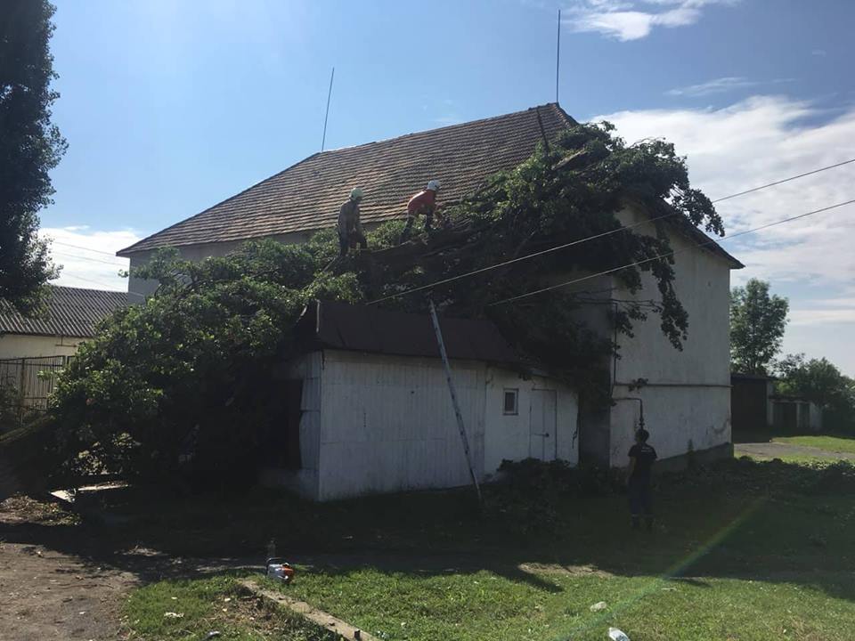 На Іршавщині дерево, впавши, пошкодило Mercedes-Benz та будинок, що не екслуатується (ФОТО)