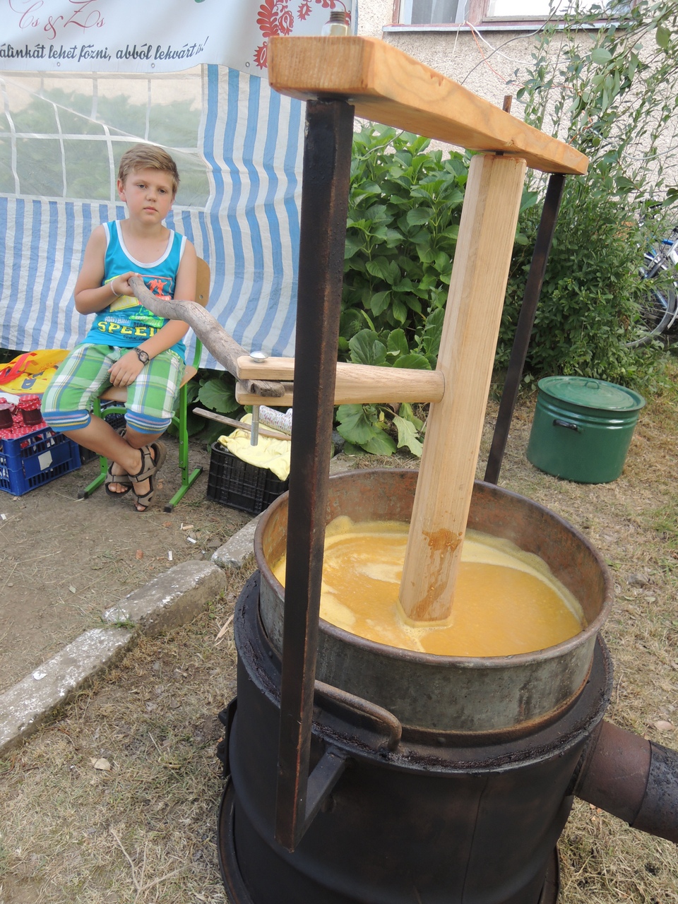 У селі Бене на Берегівщині відбувся фестиваль персиків (ФОТО)