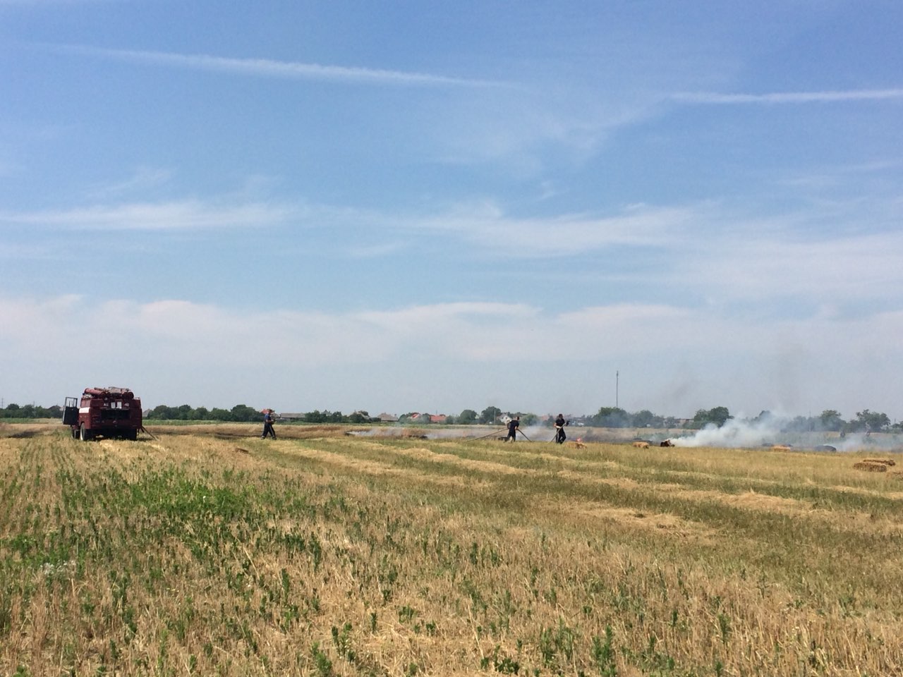 На Мукачівщині рятували від знищення вогнем пшеничне поле (ФОТО)