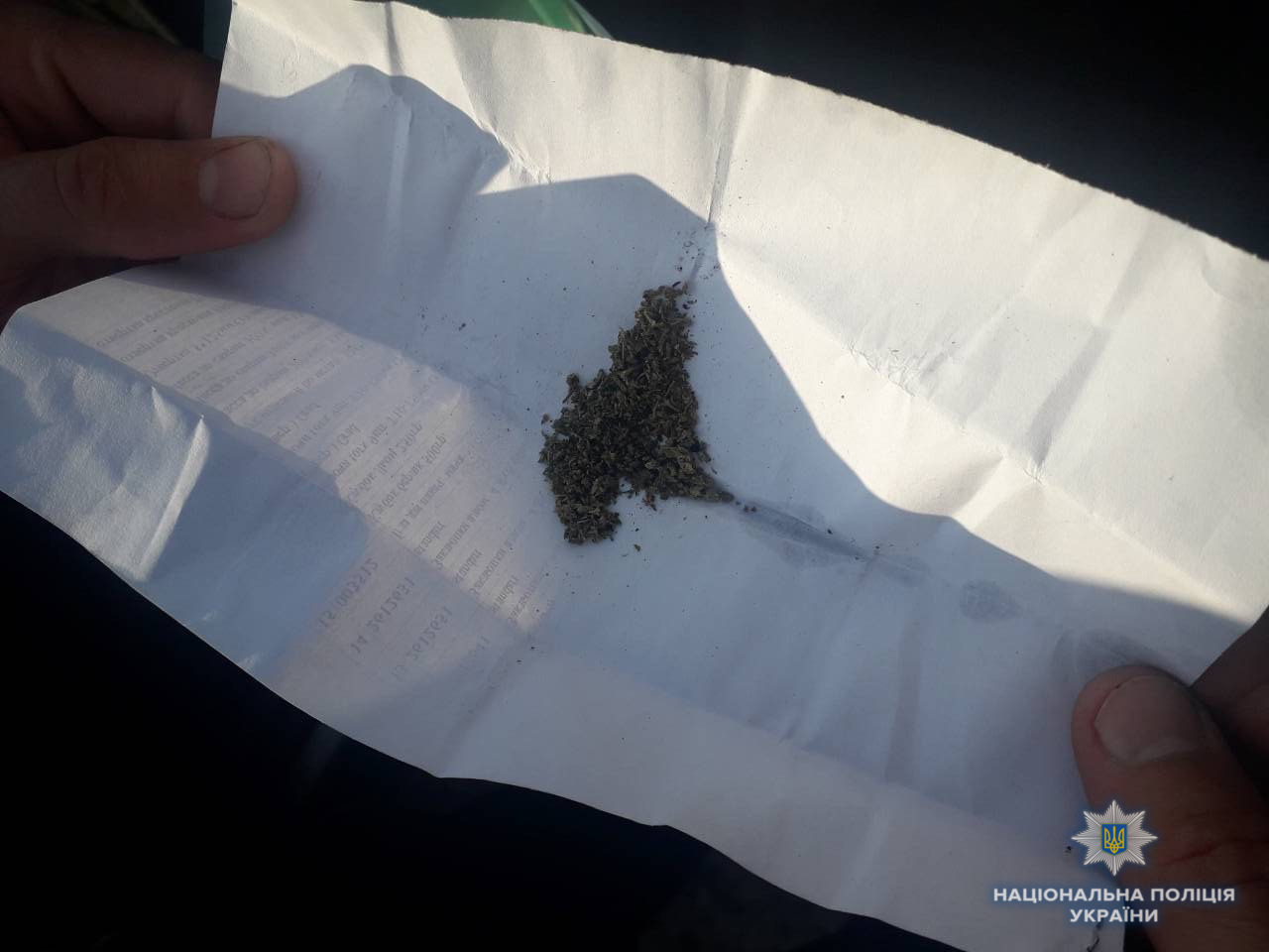 На Берегівщині у нетверезого водія-порушника ПДР знайшли метамфетамін та марихуану (ФОТО) 
