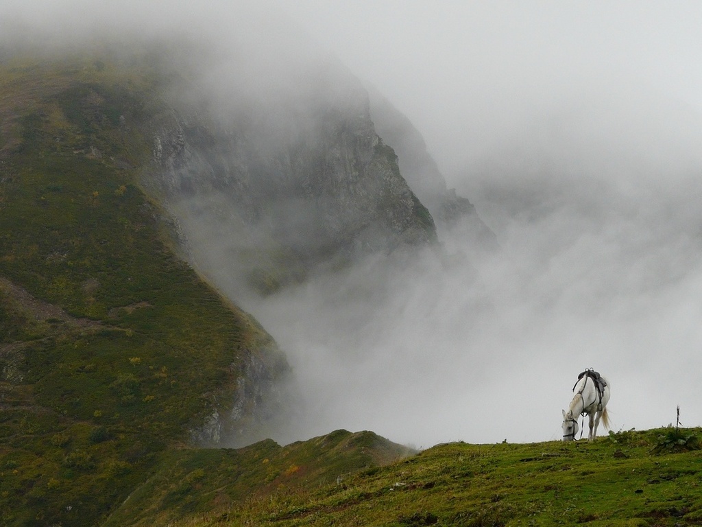 На Рахівщині, встративши орієнтир у сильному тумані, заблукала туристка із Запоріжжя 