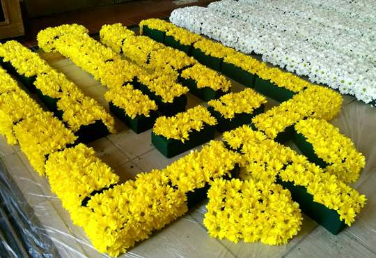 Флористи в Ужгороді створюють масштабною квіткову композицію до Дня Незалежності України (ФОТО)