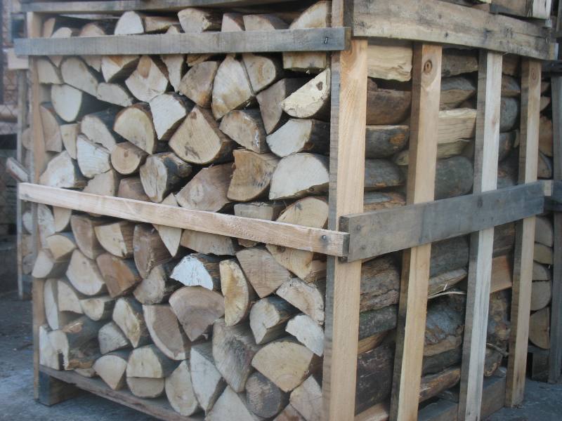 Лісгоспами Закарпаття з початку року для потреб ринку реалізовано 544,2 тис кубометрів деревини 