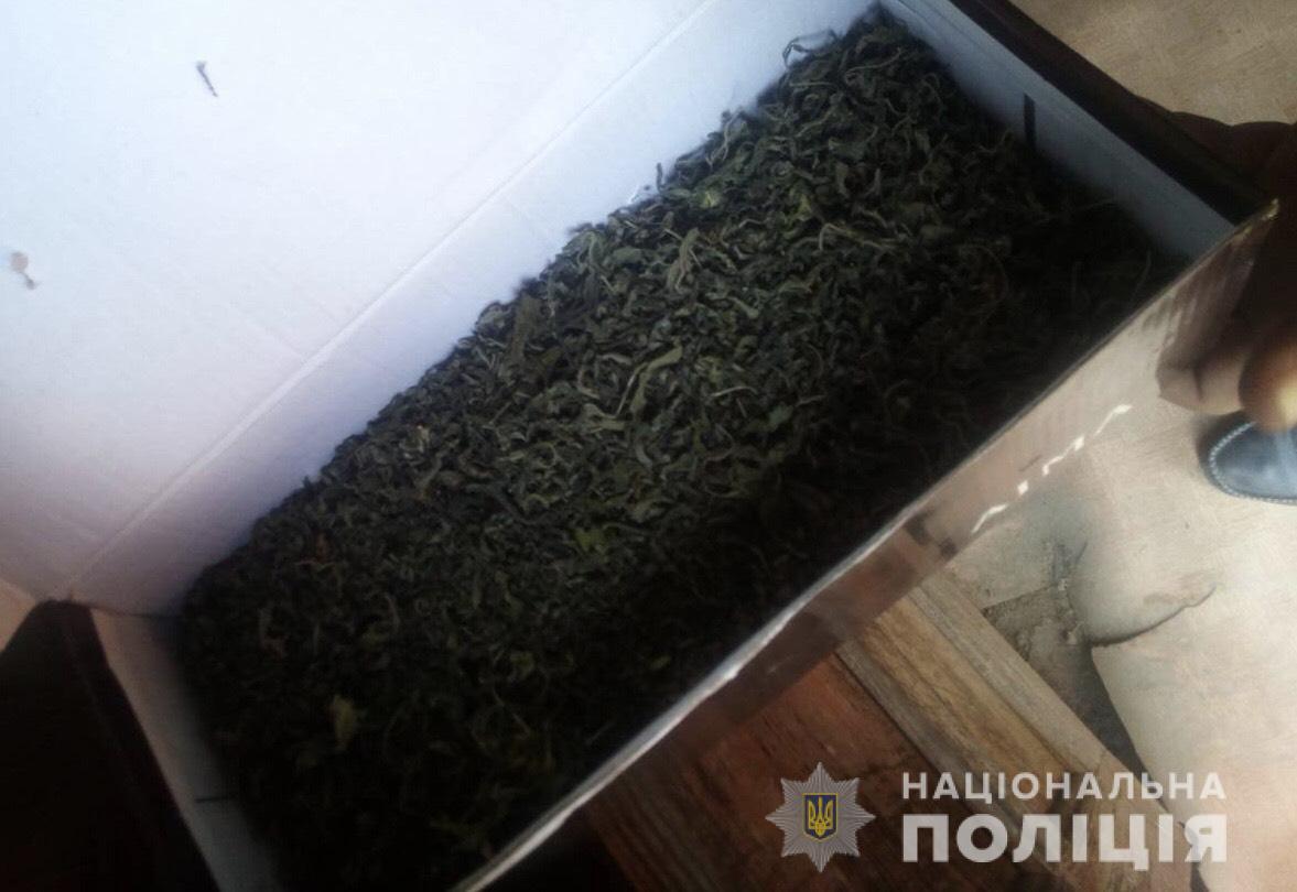 Із будинку 21-річного мешканця Берегова вилучили коробку з канабісом (ФОТО)