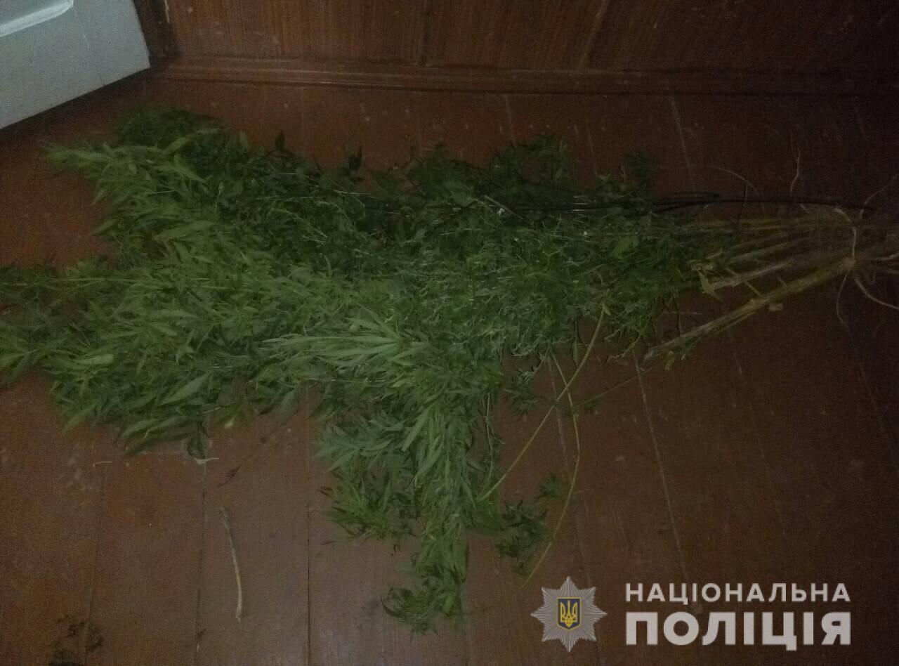 На Мукачівщині затримали наркоторговця й "вирощувача" конопель (ФОТО)