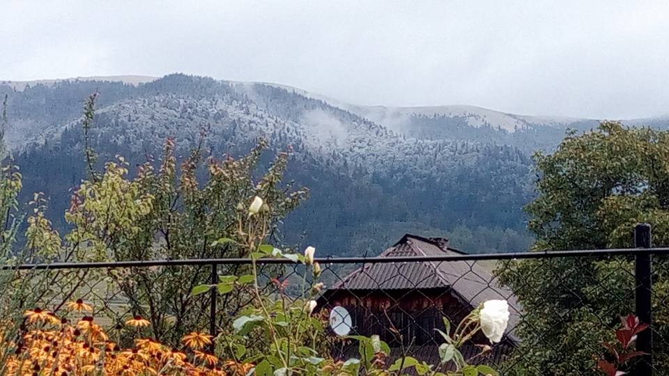 У горах Закарпаття випав перший сніг і фіксуються мінусові температури (ФОТО)
