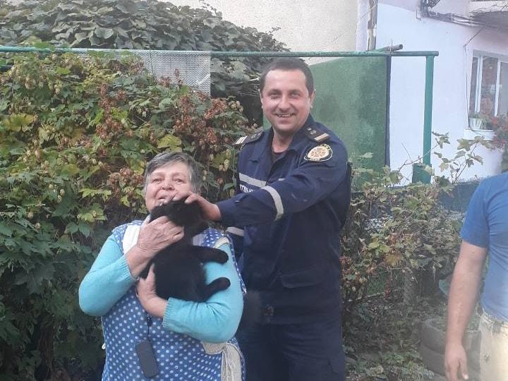 У Рахові рятувальники зняли з берези кішку, яка просиділа там 3 дні (ФОТО)