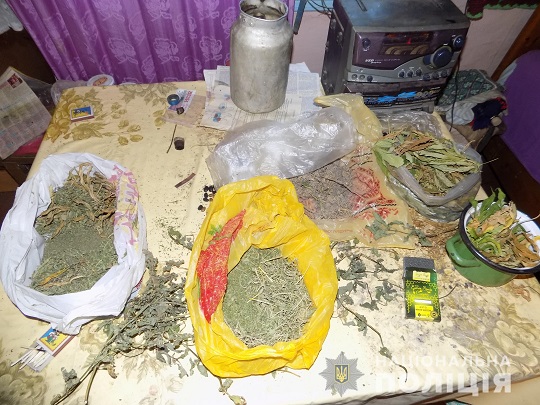 Згортки з марихуаною та наркоплантацію конопель виявили у мешканця Лугу, що на Рахівщині (ФОТО)