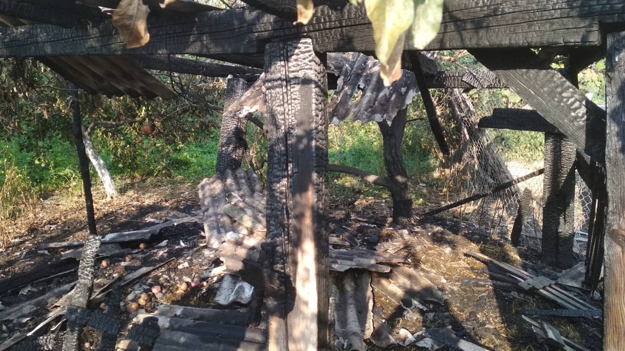 У Холмоку, на Ужгородщині згоріла надвірна споруда (ФОТО)