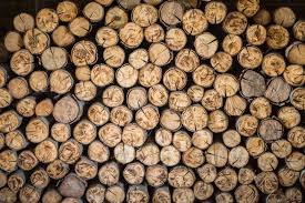 Москаль "рекомендаційно заборонив" закарпатським держлісгоспам продавати дрова за кордон 