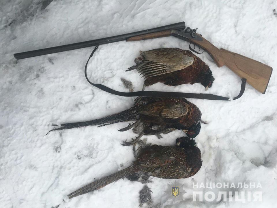 На Хустщині затримали браконьєрів, які незаконно вполювали фазанів (ФОТО)