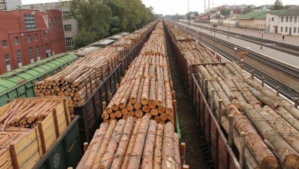 Із 1 січня за незаконне вивезення лісоматеріалів за кордон передбачена кримінальна відповідальність