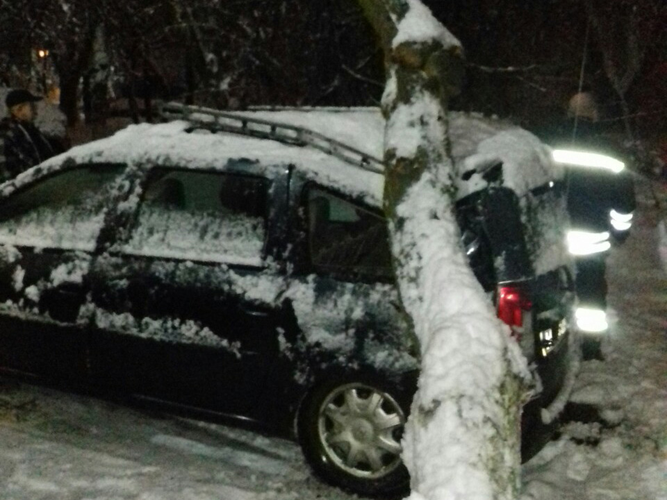 Через снігопади на Закарпатті повністю знеструмлено 16 населених пунктів, а в Ужгороді дерево впало на авто (ФОТО)
