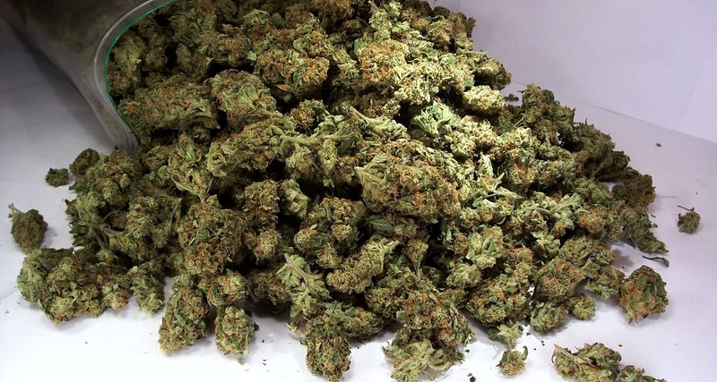 У Дубовому на продажі марихуани затримали 18-річного тячівця