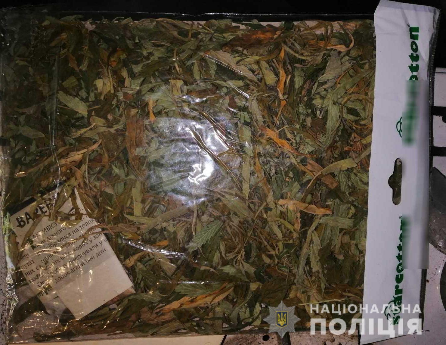 Під час обшуку будинку мешканця Чинадієва, на Мукачівщині вилучили листя та ростучі стебла конопель(ФОТО)