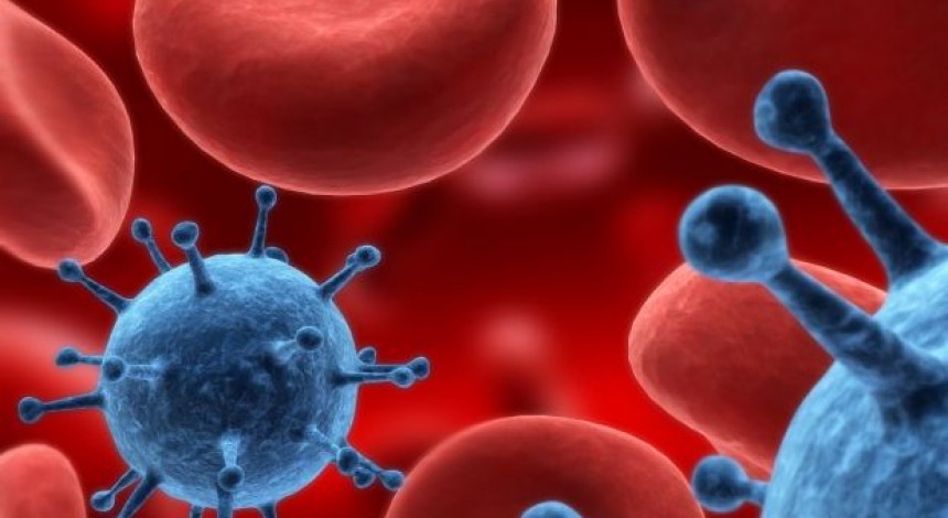 З початку року на Закарпатті вперше діагноз ВІЛ-інфекції встановлено 82 особам