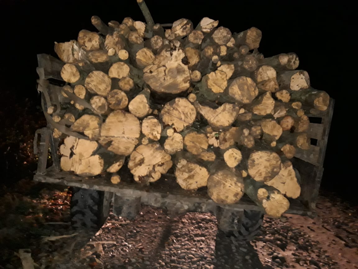 На Великоберезнянщині у прикордонні затримали вантажівку з незаконно вирубаною деревиною (ФОТО)