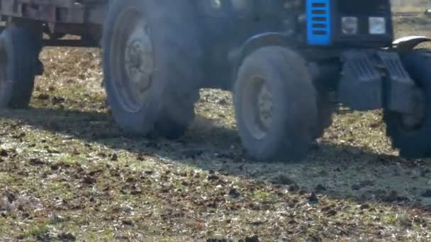 На Берегівщині тракторист, працюючи на полі, загинув під колесами свого ж трактора