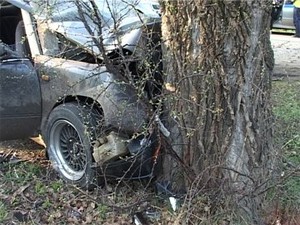 На Іршавщині водій BMW, врізавшись у дерево, опинився в лікарні 