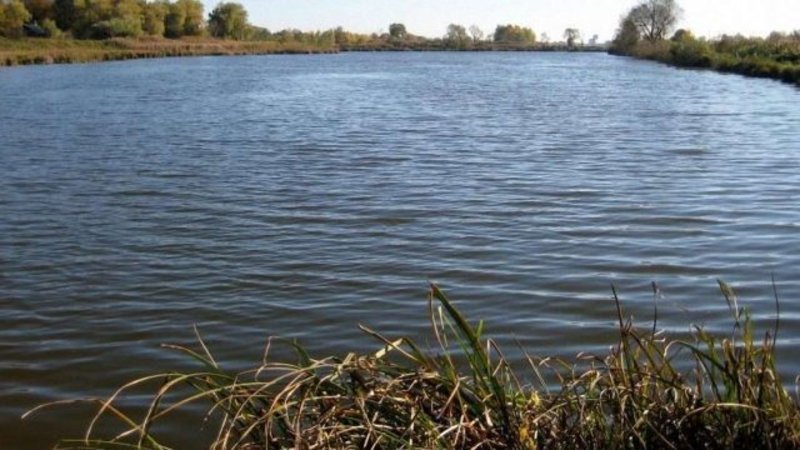 У ставку на Свалявщині потонув чоловік