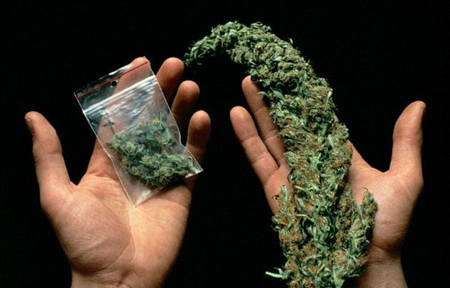 На Рахівщині затримали 18-річного юнака, котрий поштою отримав 100 г марихуани