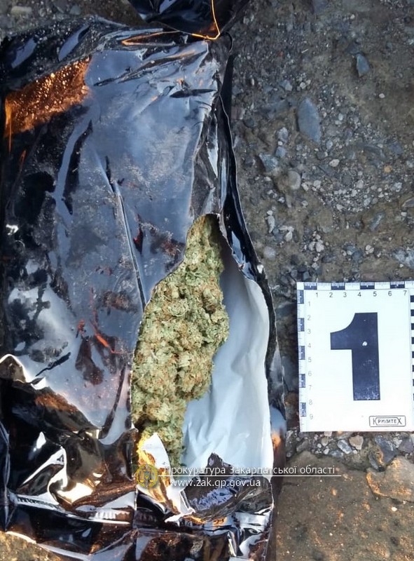 Погоджено підозру німцю, що намагався провезти через кордон на Закарпатті 2,7 кг марихуани (ФОТО)